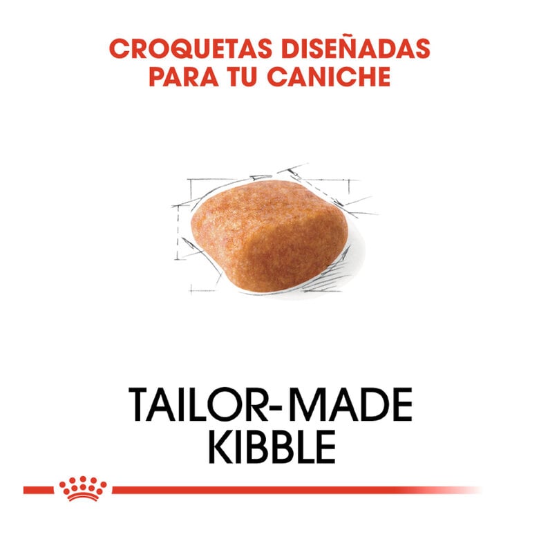 Royal Canin Adult Poodle ração para cães,  Imagem número 5 Royal Canin Adult Poodle ração para cães, , large Imagem número 5